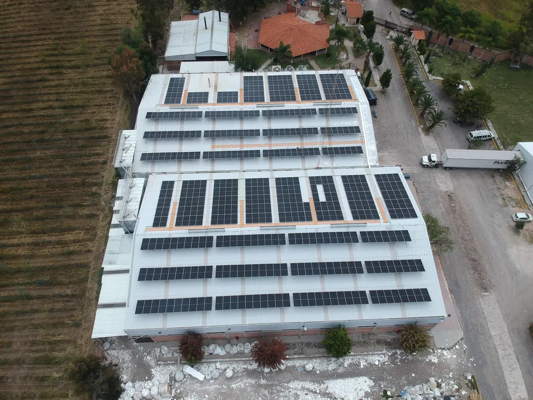 Vista desde la parte trasera de las naves de Plexa con sus 495 módulos JA Solar